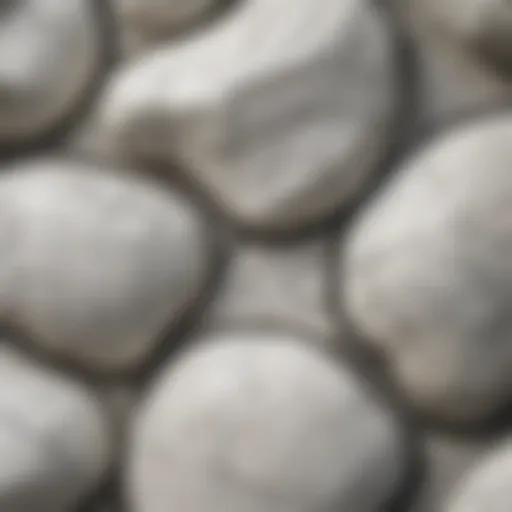 Close-up view of white stone with intricate black veins highlighting its natural patterns