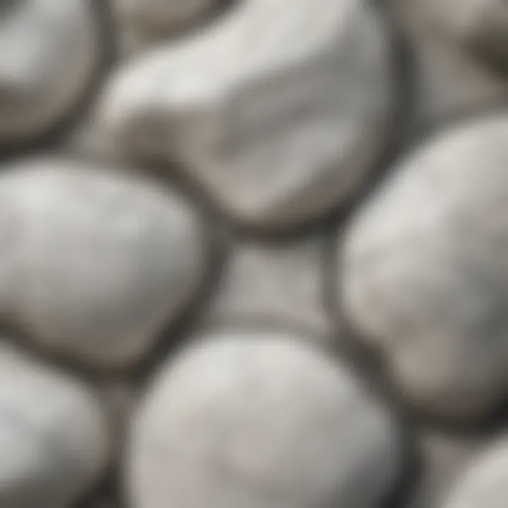 Close-up view of white stone with intricate black veins highlighting its natural patterns