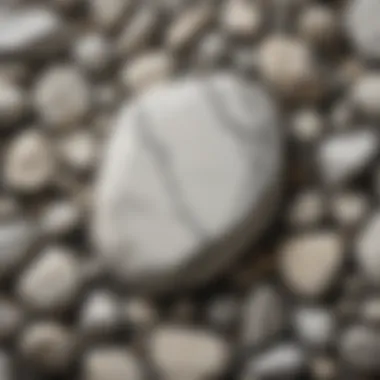 Personal collection display featuring white stone with black veins among other geological specimens