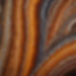 Close-up view of polished agate displaying intricate banding patterns