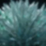 Close-up view of light blue green crystal with intricate patterns