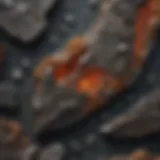 Close-up view of a meteorite slice showcasing its unique textures and mineral composition