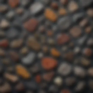 Display of various types of meteorite slices arranged elegantly for collectors