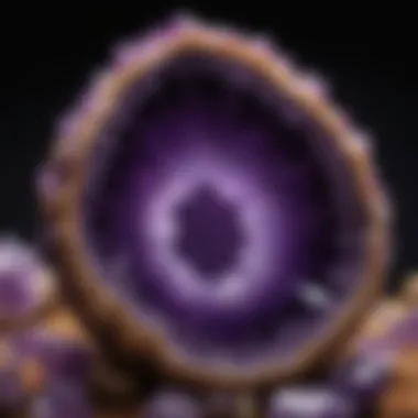 A stunning close-up of a Uruguay amethyst geode showcasing its vibrant purple crystals.