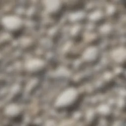 A close-up view of white pebble rocks showcasing their unique textures and colors.