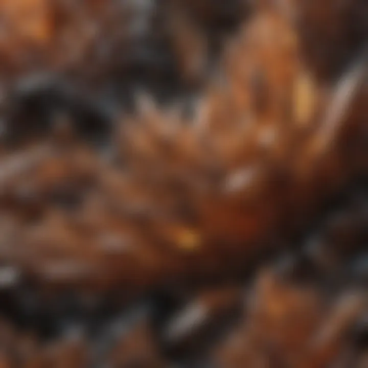 Intricate patterns formed by iron-infused crystals.