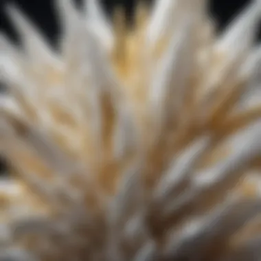 Close-up of a unique white and gold crystal with intricate patterns
