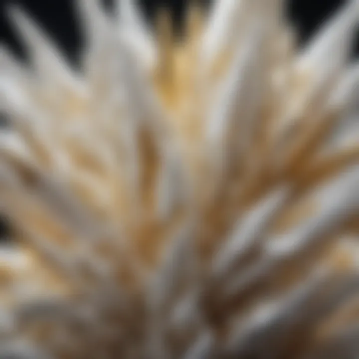 Close-up of a unique white and gold crystal with intricate patterns