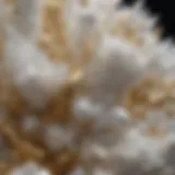 A stunning array of white and gold crystals showcasing their natural beauty