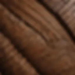 Close-up of palm wood texture showcasing its unique grain patterns