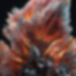 A close-up of a stunning mineral specimen showcasing intricate crystal formations