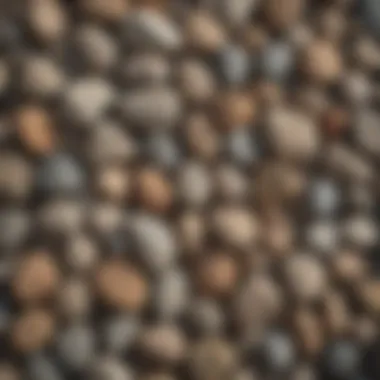 Variety of rough stones ready for tumbling