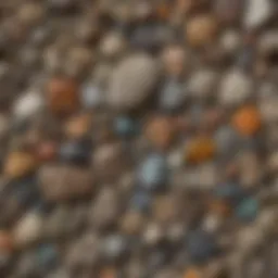 Diverse collection of rock specimens showcasing various formations and textures