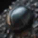 Close-up view of polished hematite stone showcasing its metallic sheen