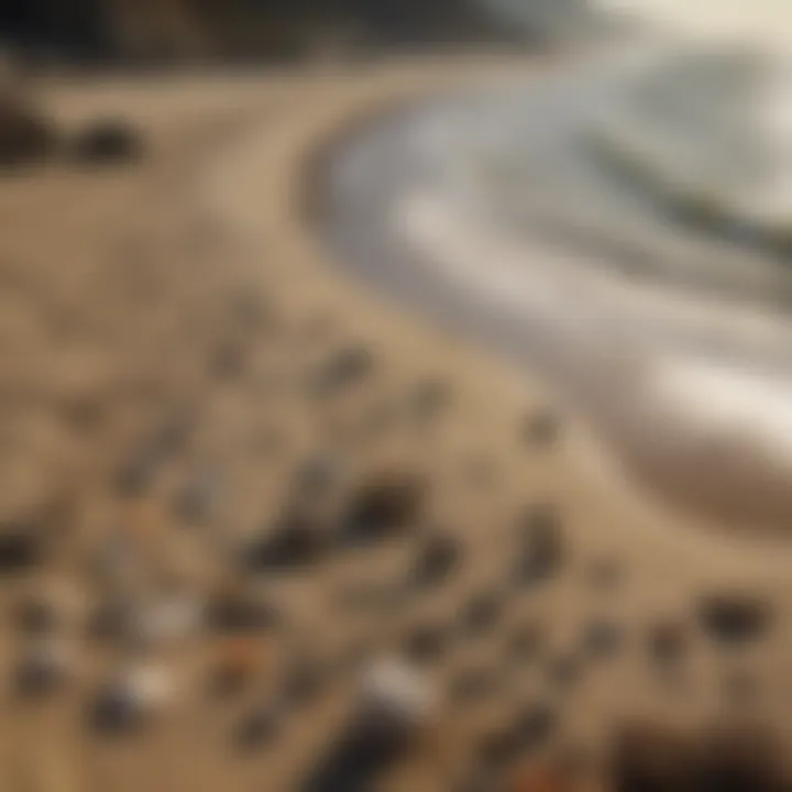 Fossil-rich beach perfect for collectors