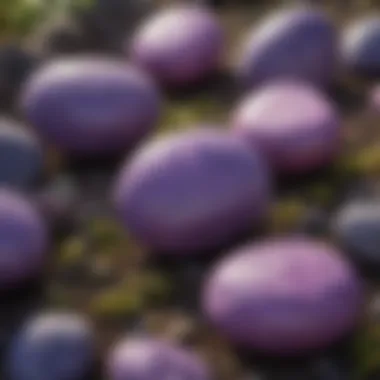 Care and Maintenance of Purple Stones Tips and techniques for maintaining the beauty of purple garden stones.