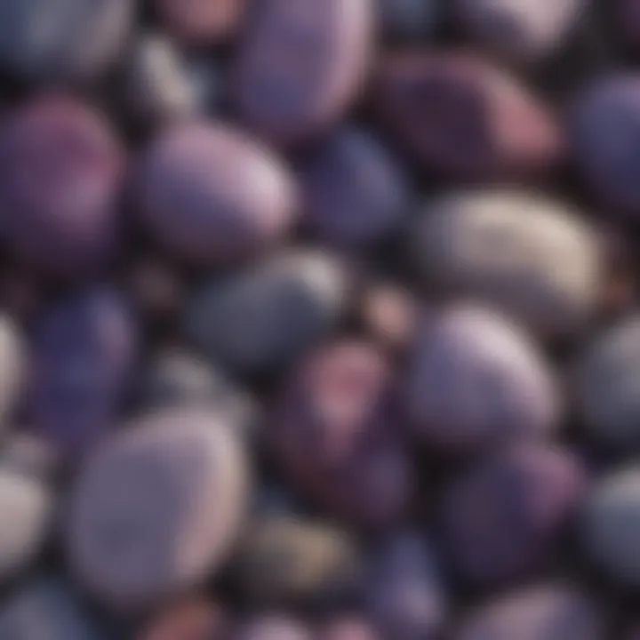 Close-up view of the unique geological textures found in purple garden stones.