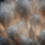 Close-up view of Selenite Moon crystals reflecting light