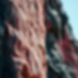 Exploring the Fascinating World of Pink and Black Rock Introduction