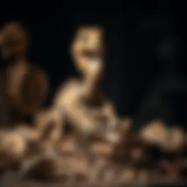 Exploring the Fascination of Dino World Fossil Kits Summary Exploring the Fascination of Dino World Fossil Kits Summary
