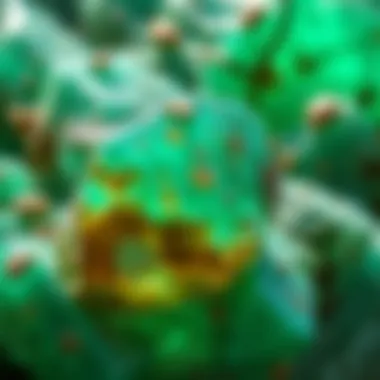Textures and Inclusions in Emeralds A detailed close-up of the unique textures and inclusions found in raw emeralds.