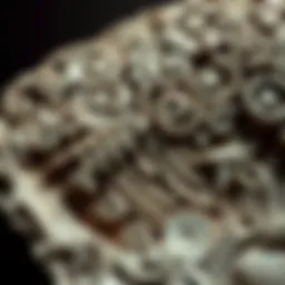 Exploring the Fossil Book: A Comprehensive Guide Introduction