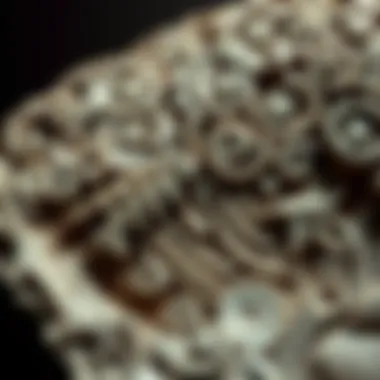 Exploring the Fossil Book: A Comprehensive Guide Introduction Exploring the Fossil Book: A Comprehensive Guide Introduction
