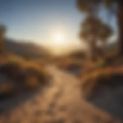 A stunning view of California's diverse gem trails illuminated by sunlight.