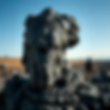 Notable Exploring the Intricacies of Black Flaky Rock Notable Exploring the Intricacies of Black Flaky Rock
