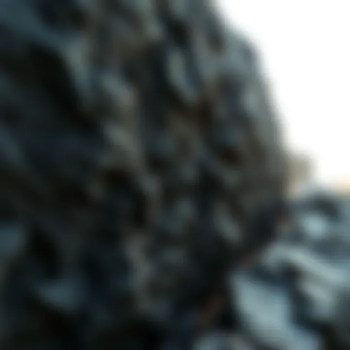 Exploring the Intricacies of Black Flaky Rock Summary