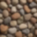 A close-up view of different rock types showcasing their textures and colors.