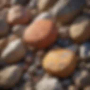 A close-up view of intricate rock textures and colors.