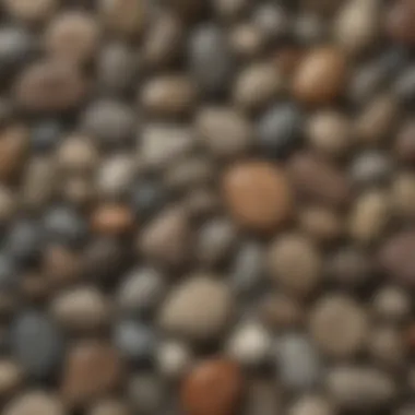 A collection of various Petoskey Stones highlighting their unique shapes and sizes