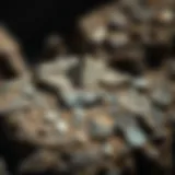Exploring the Rarest Meteorites: A Collector's Guide Introduction