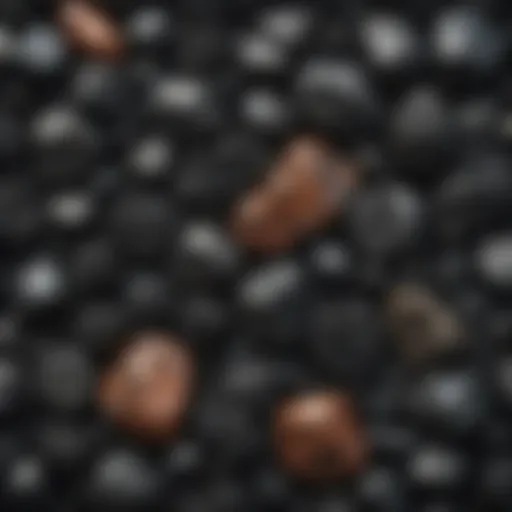 A collection of various black minerals showcasing their unique textures and colors