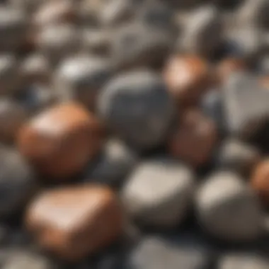 A well-organized rock collection featuring large granite specimens