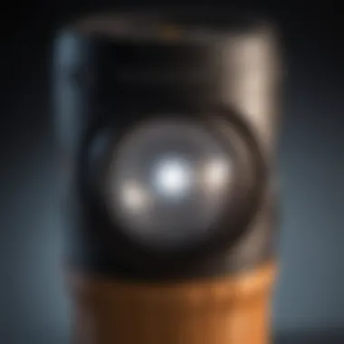 The Technology Behind UV Flashlights Close-up of UV flashlight technology components
