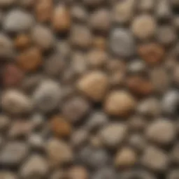 A stunning display of various fossil rocks showcasing their natural beauty.