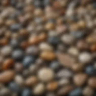 An array of polished stones and fossils that have been processed using hobby tumblers.