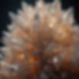 Close-up of a stunning quartz crystal cluster showcasing its intricate formations and luster.