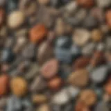 Close-up view of various rock and mineral samples showcasing their unique textures and colors
