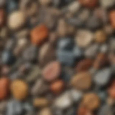 Close-up view of various rock and mineral samples showcasing their unique textures and colors