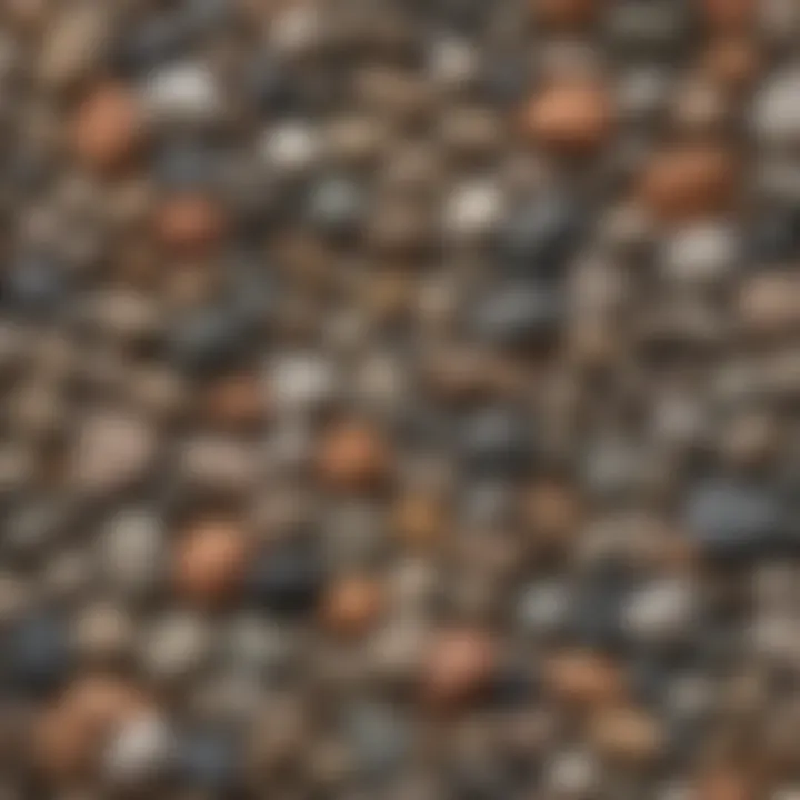 Different types of rock hunting scoops displayed on a natural background