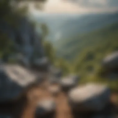 A scenic view of Virginia's Blue Ridge Mountains showcasing diverse geology