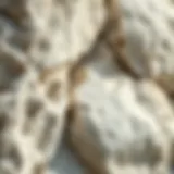 Close-up view of white limestone rock showcasing its texture and mineral composition