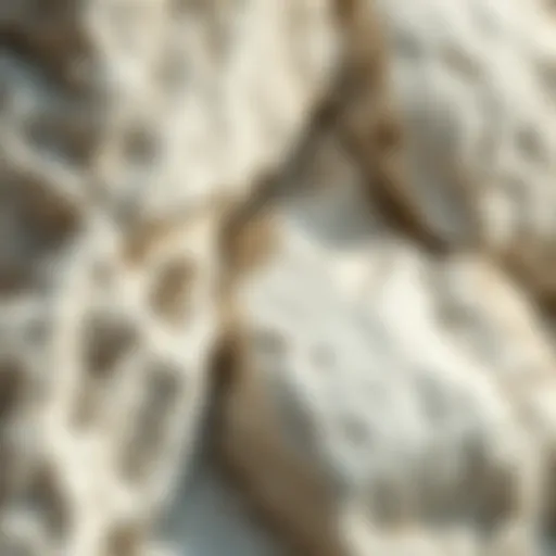 Close-up view of white limestone rock showcasing its texture and mineral composition