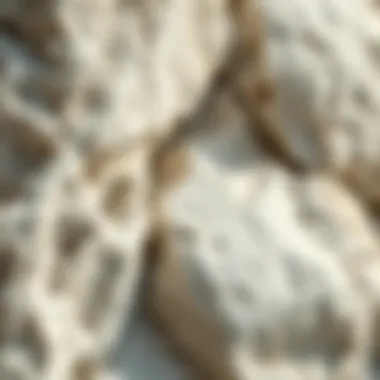 Textural Details of White Limestone Close-up view of white limestone rock showcasing its texture and mineral composition