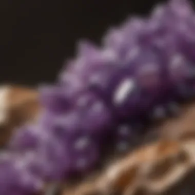 Exquisite Amethyst Cluster with vibrant purple hues under natural light