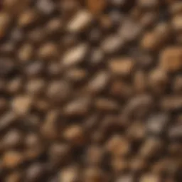 Exquisite Wood Tumbling Media with Stunning Patterns