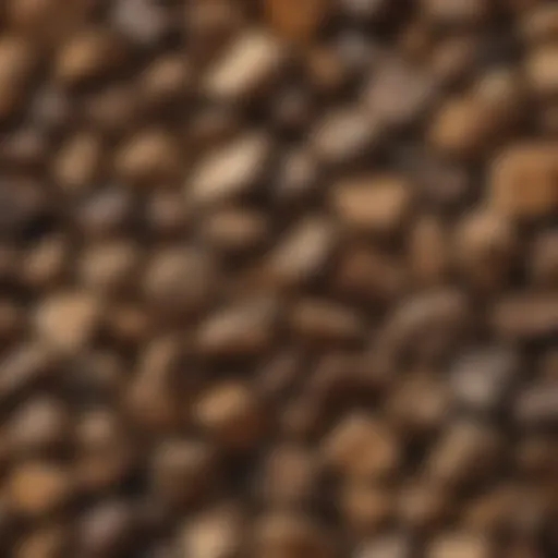 Exquisite Wood Tumbling Media with Stunning Patterns